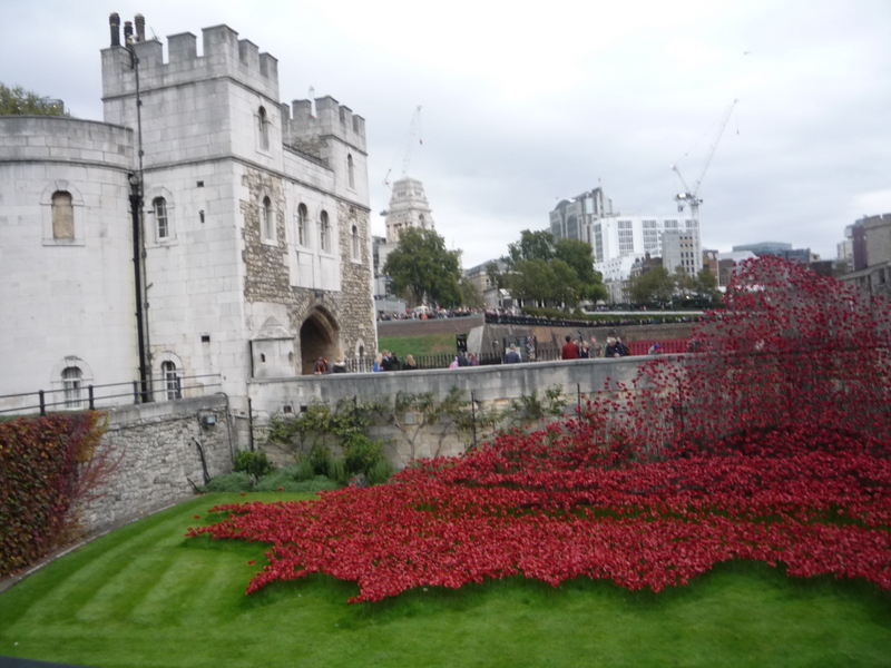 London; Poppies