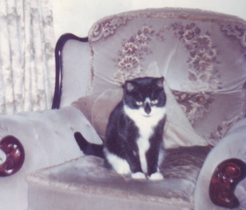 Fred