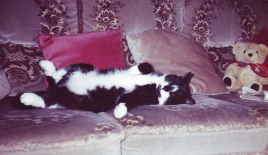 Fred relaxing as only he can